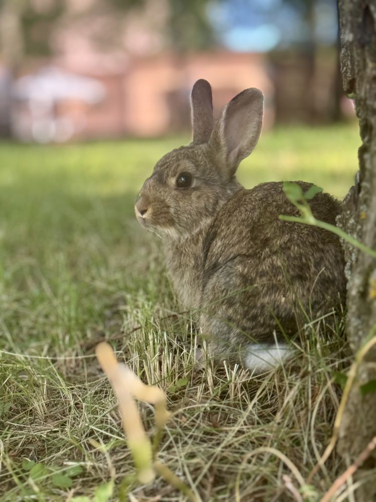 Photograph by Елена Карпухно