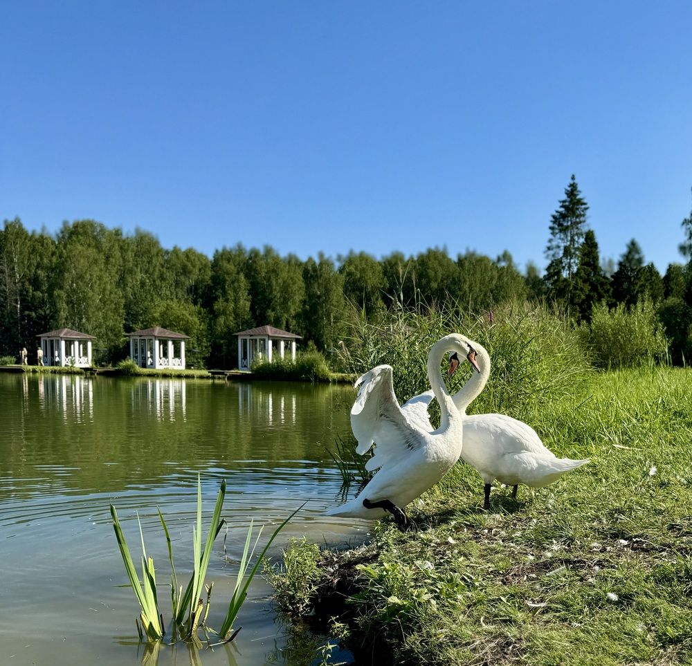 Photograph by Елена Карпухно