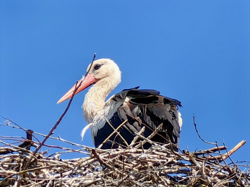 Photograph by Сергей Николаевич