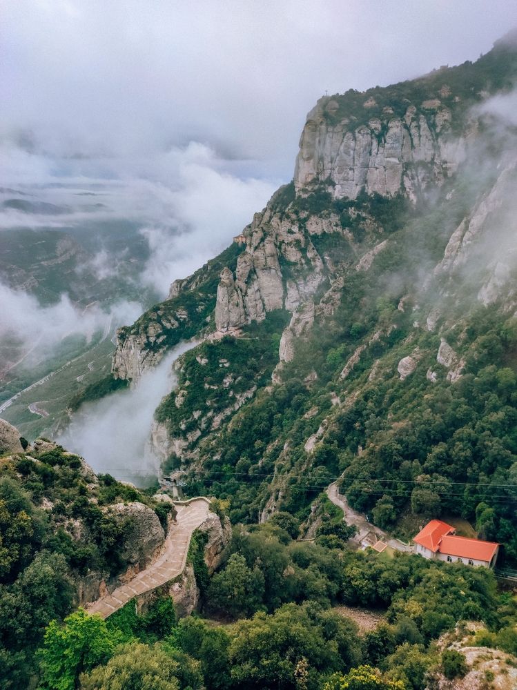 Фотография автора Alena Borisova