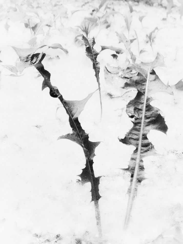 Photograph by Елена Тимченко