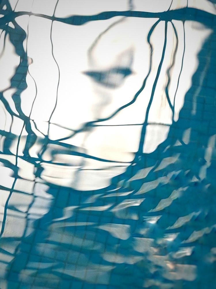 Photograph by Елена Тимченко