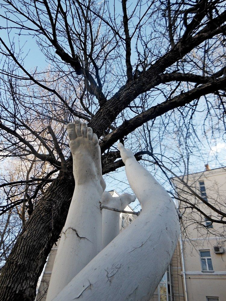 Photograph by Афоня Радостный
