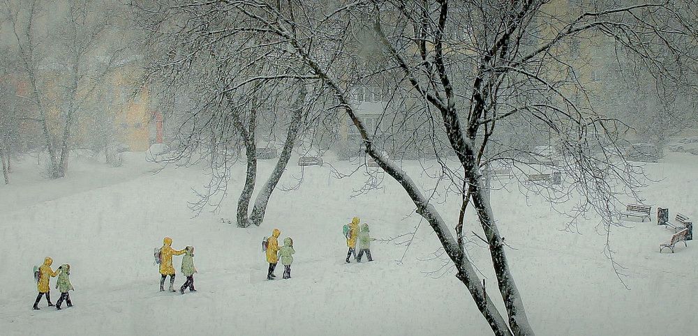 Снег , снег , снег...