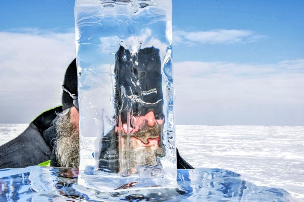 Photograph by Алексей Логинов