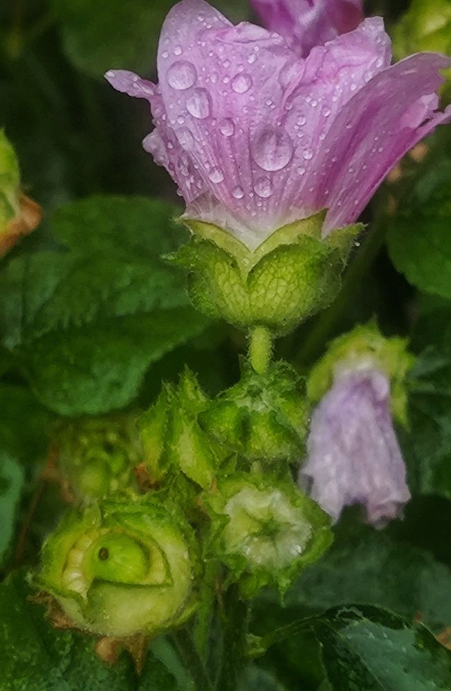 Photograph by Ирина Горбач