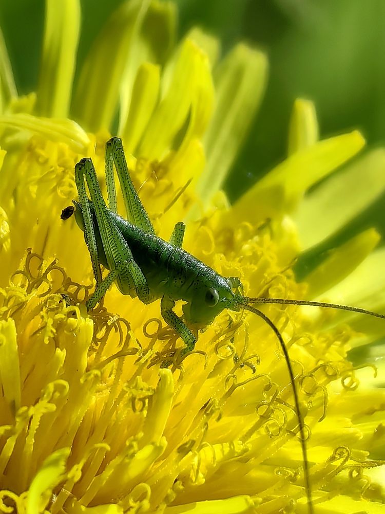 Photograph by Сергей Николаевич