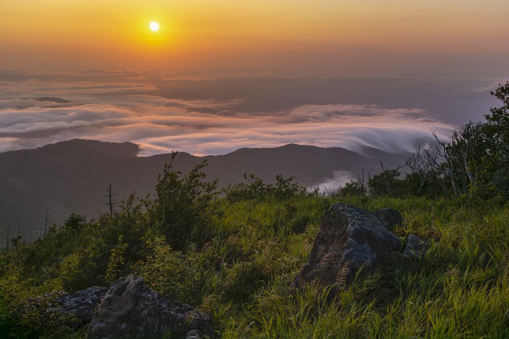 Photograph by ALEKSANDR KUZNETSOV