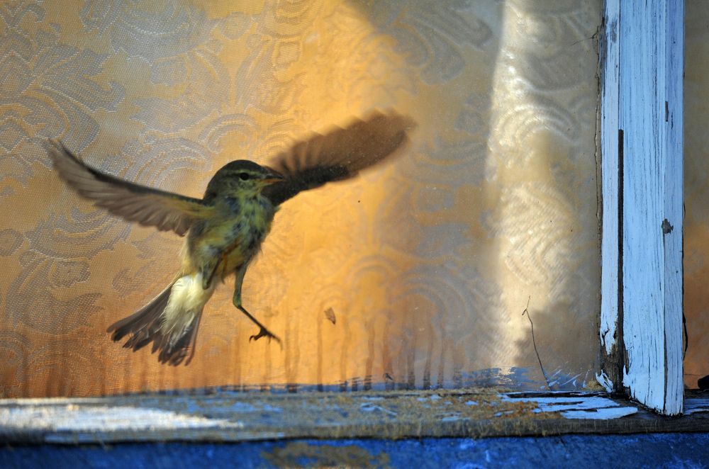 Photograph by Юрий Яковлев