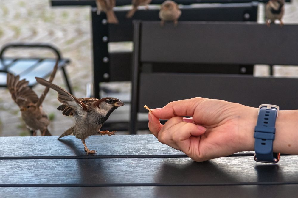 Photograph by Демьян Лопатов