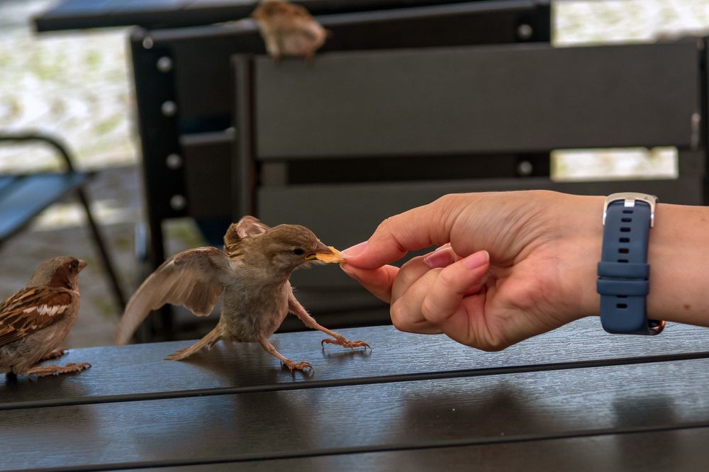 Photograph by Демьян Лопатов