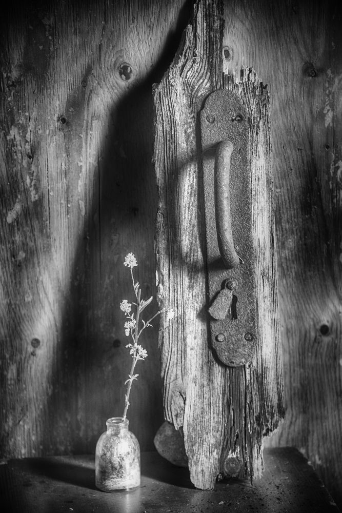 Photograph by Борис Кравецкий