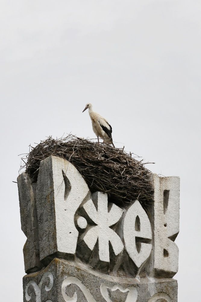 Photograph by Наталья Гайдукевич