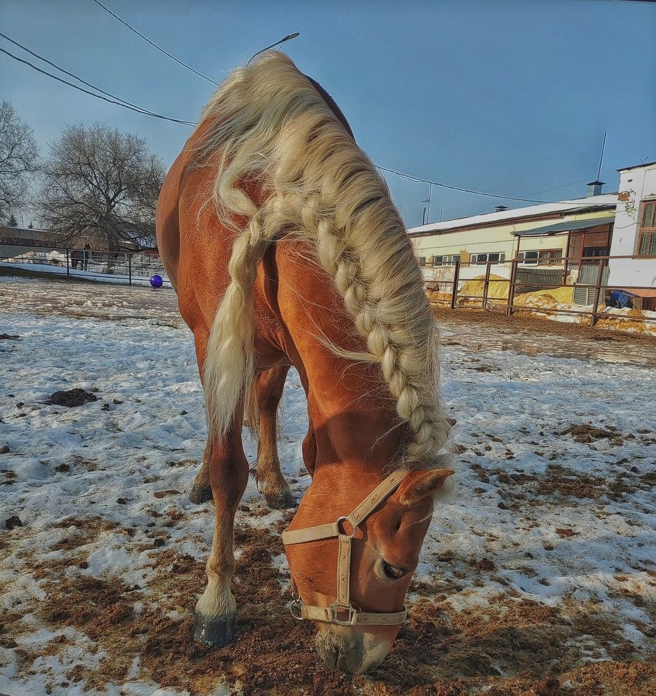 Photograph by Ирина Горбач