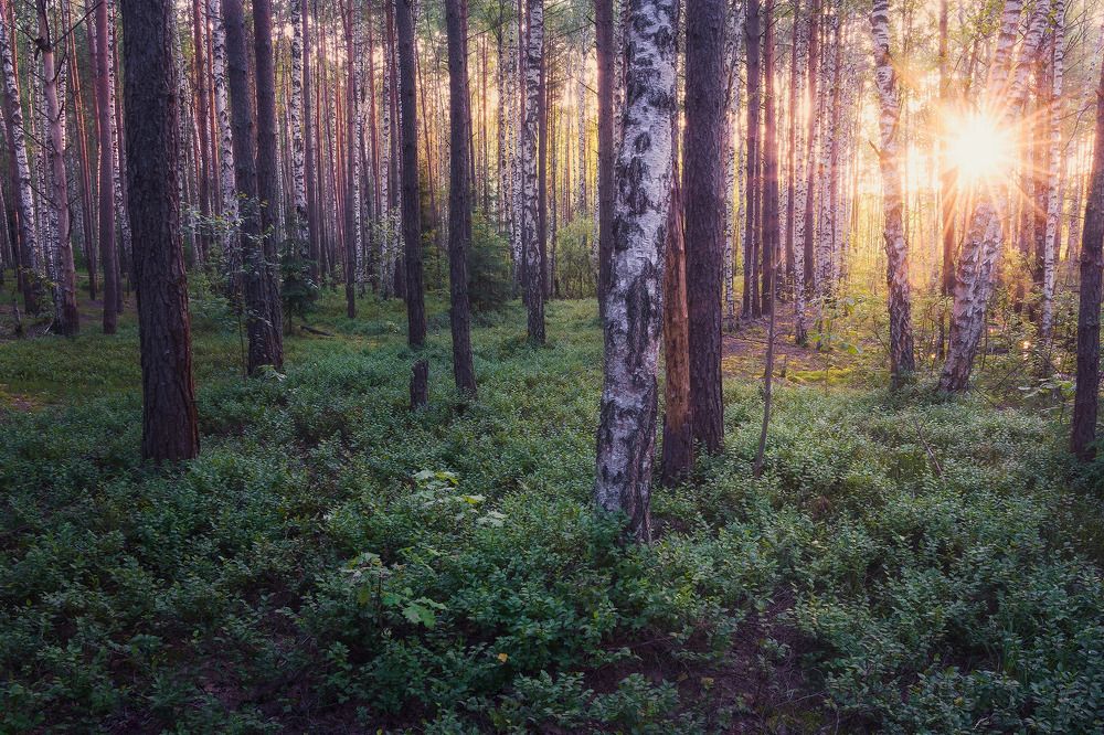 Photograph by Жирнов Павел