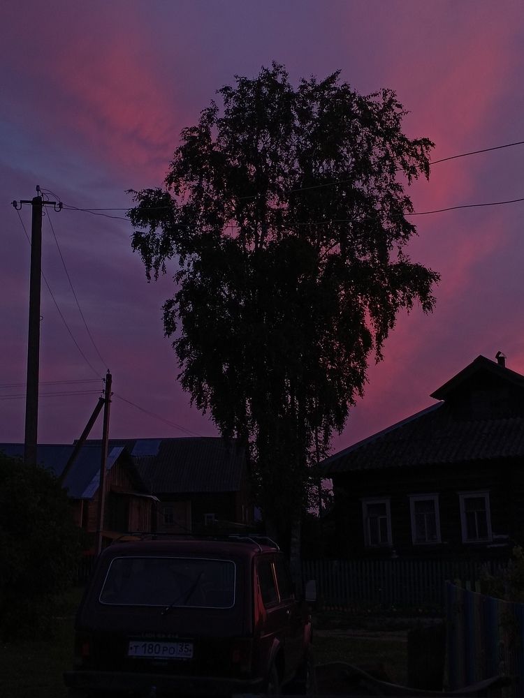 Photo #10855506