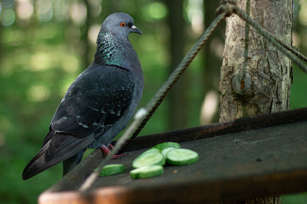 Photograph by Дарья Улюсова