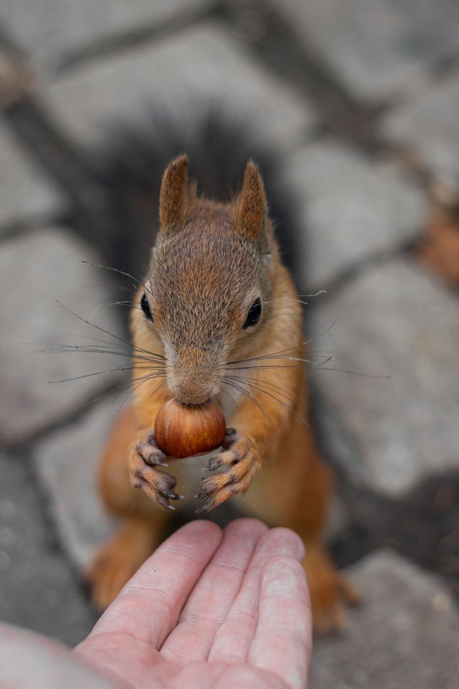 Photograph by Дарья Улюсова