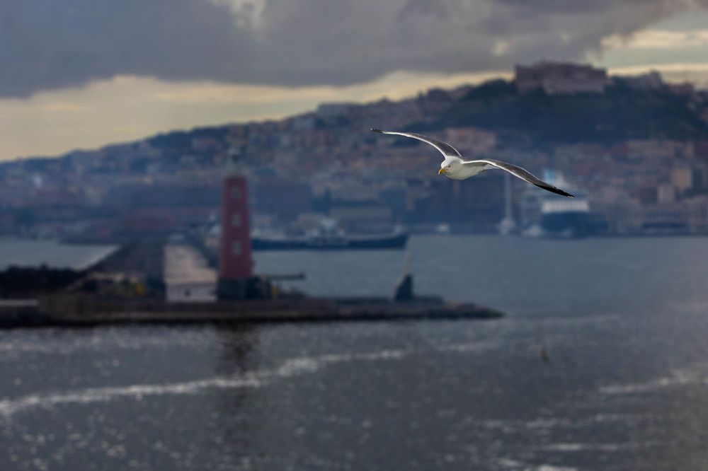 Фотография автора Minja Jovetic