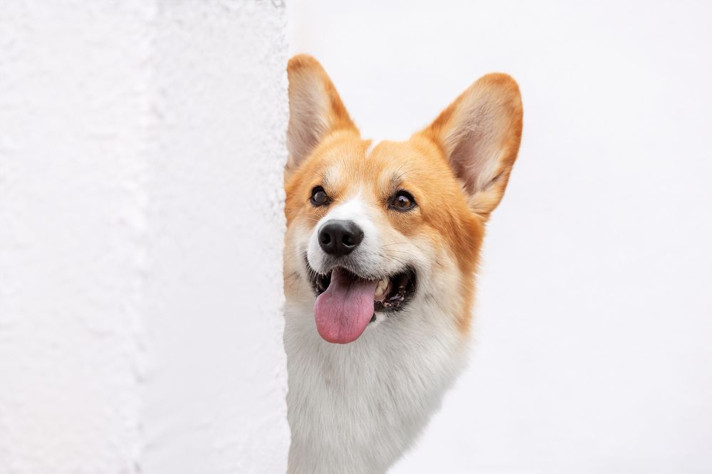 Photograph by Ирина Голомб