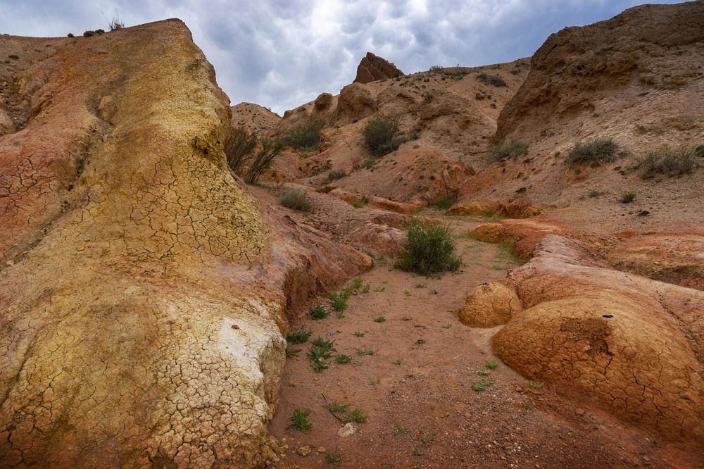 Фотография автора Татьяна Добровольская