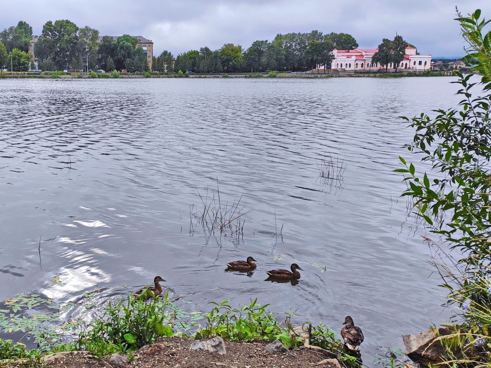 Photograph by Виталий Черепенькин