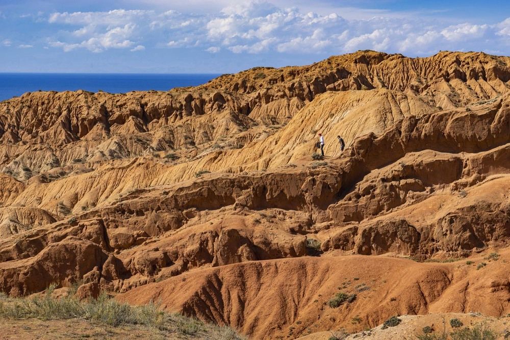 Фотография автора Татьяна Добровольская