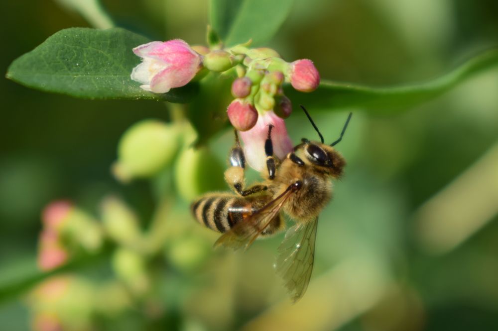 Photograph by Наталья Еременко