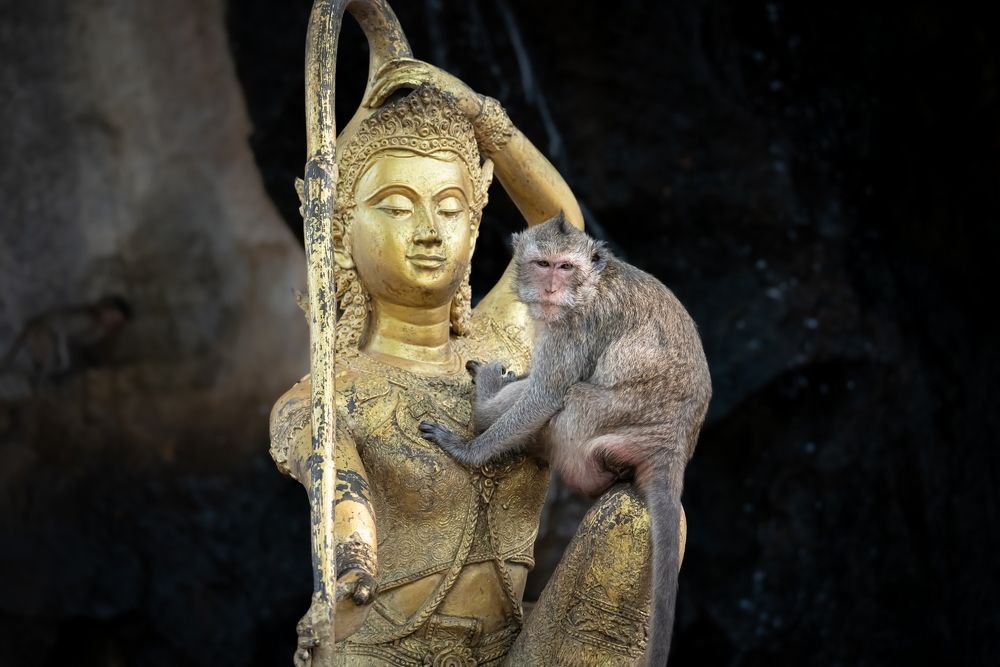 Photograph by Николай Фонарёв