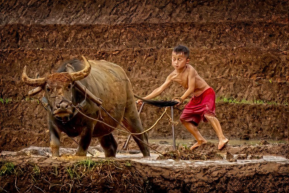 Photograph by Hanh P. T. Pham