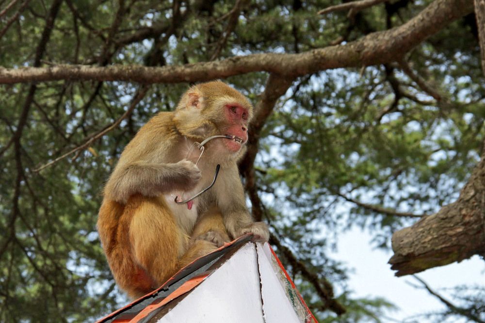 Photograph by Svetlana Dorokhova