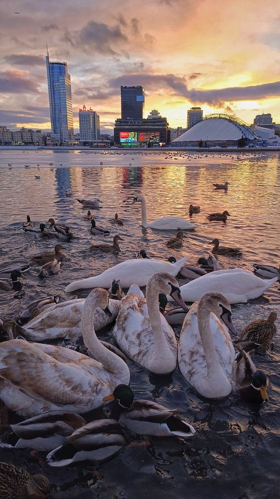 Photograph by Leanid Kulpo