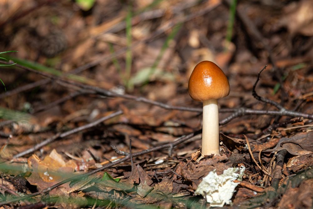 Photograph by Евгений Фонин