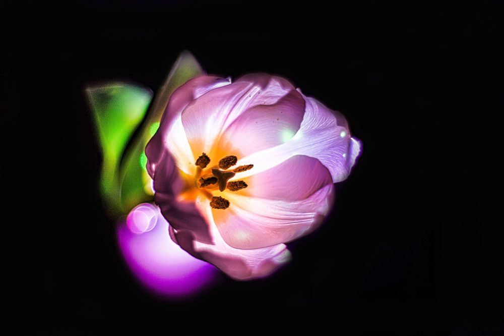 Photograph by Юлия