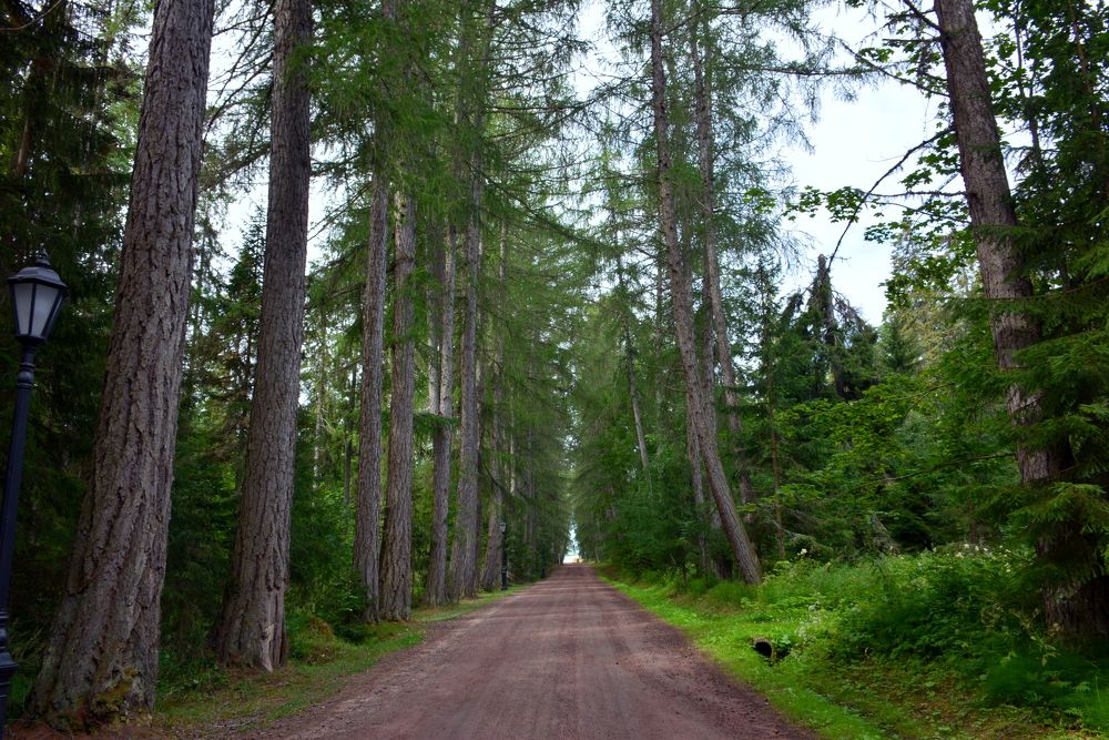 Монастырская дорога