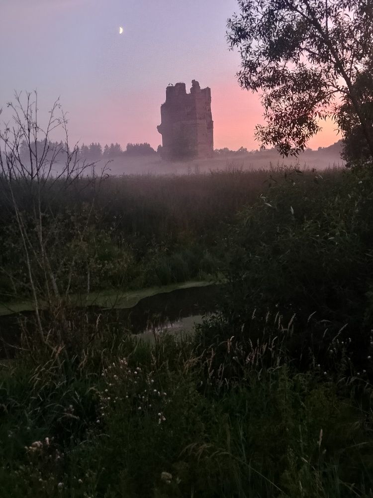 Фотография автора Илья Сергеев