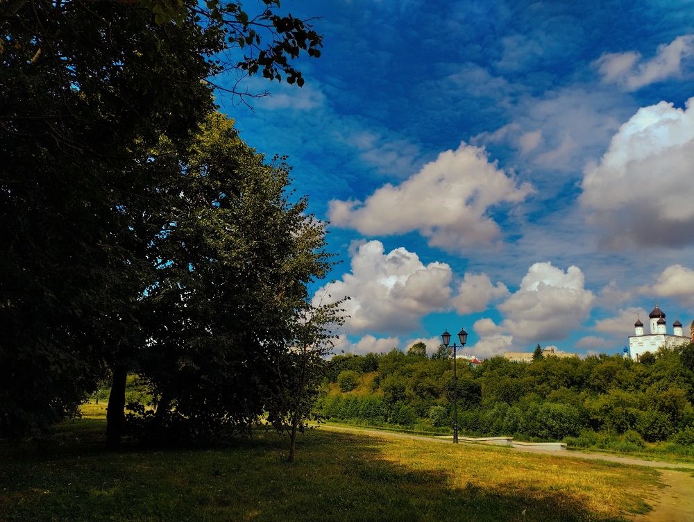 Летний пейзаж