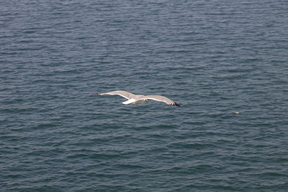 Photograph by Илья Юриков