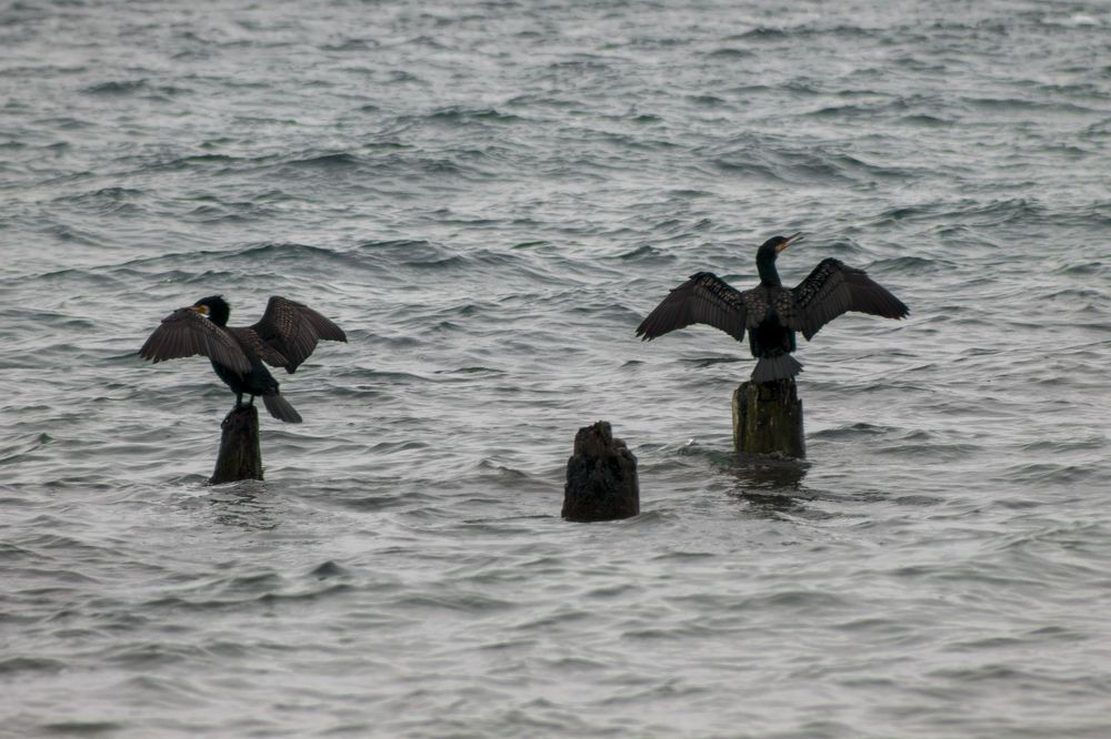 Photograph by Илья Юриков