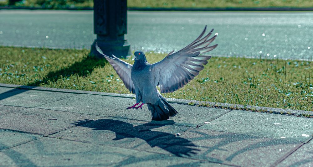 Photograph by Sergey Palchikov