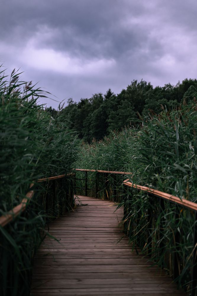 Photograph by Аркадий Морозов