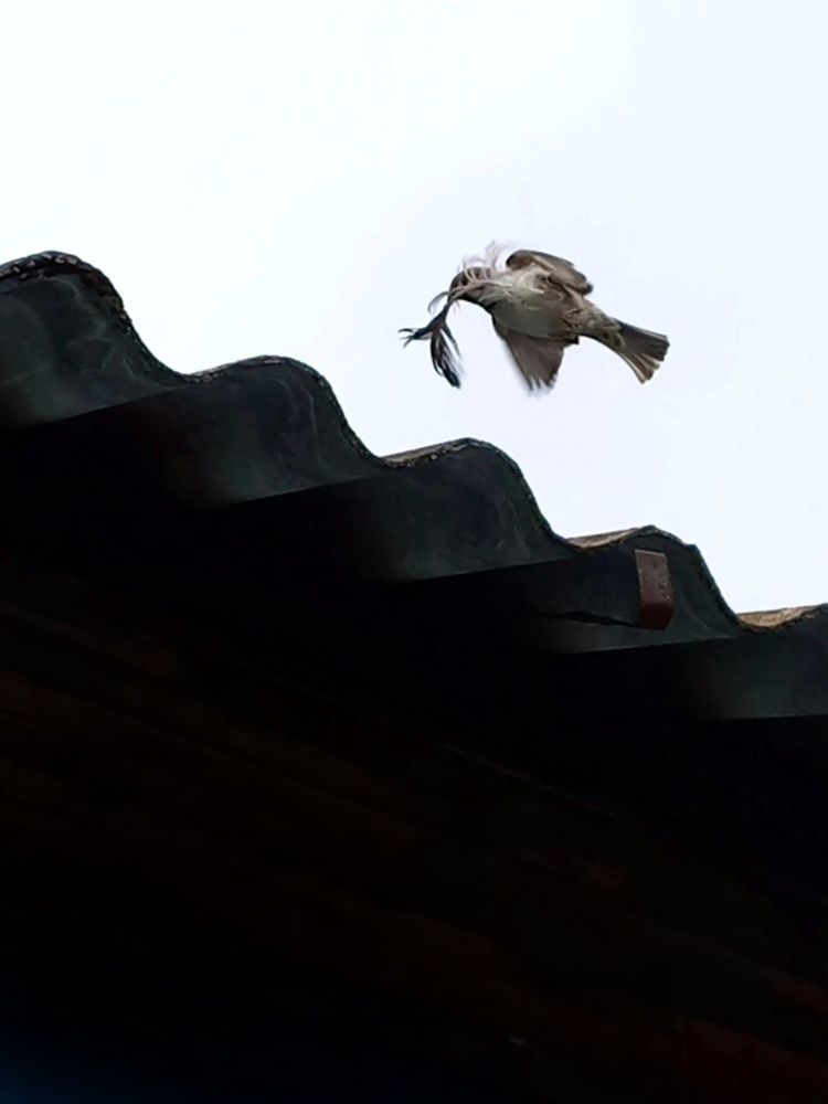 Photograph by Елена Никитина