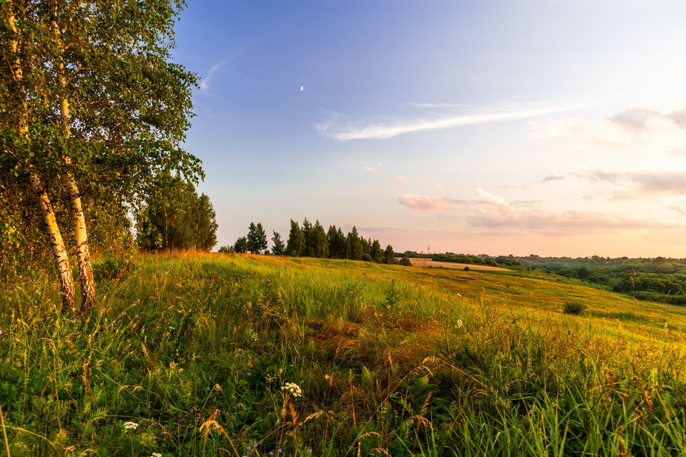 Photograph by YURIY TSARENKO