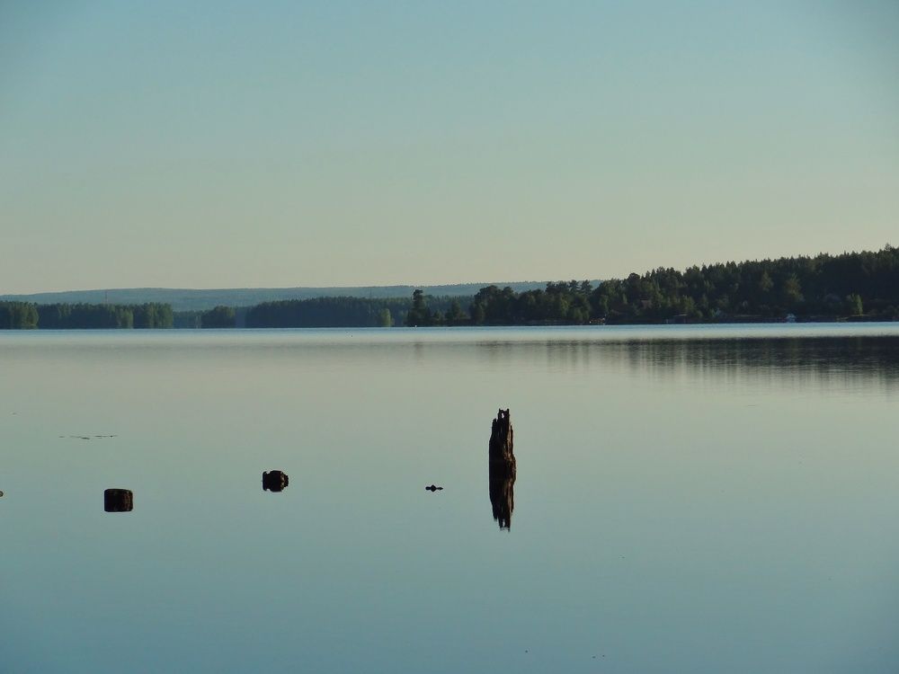 Photo #10856228