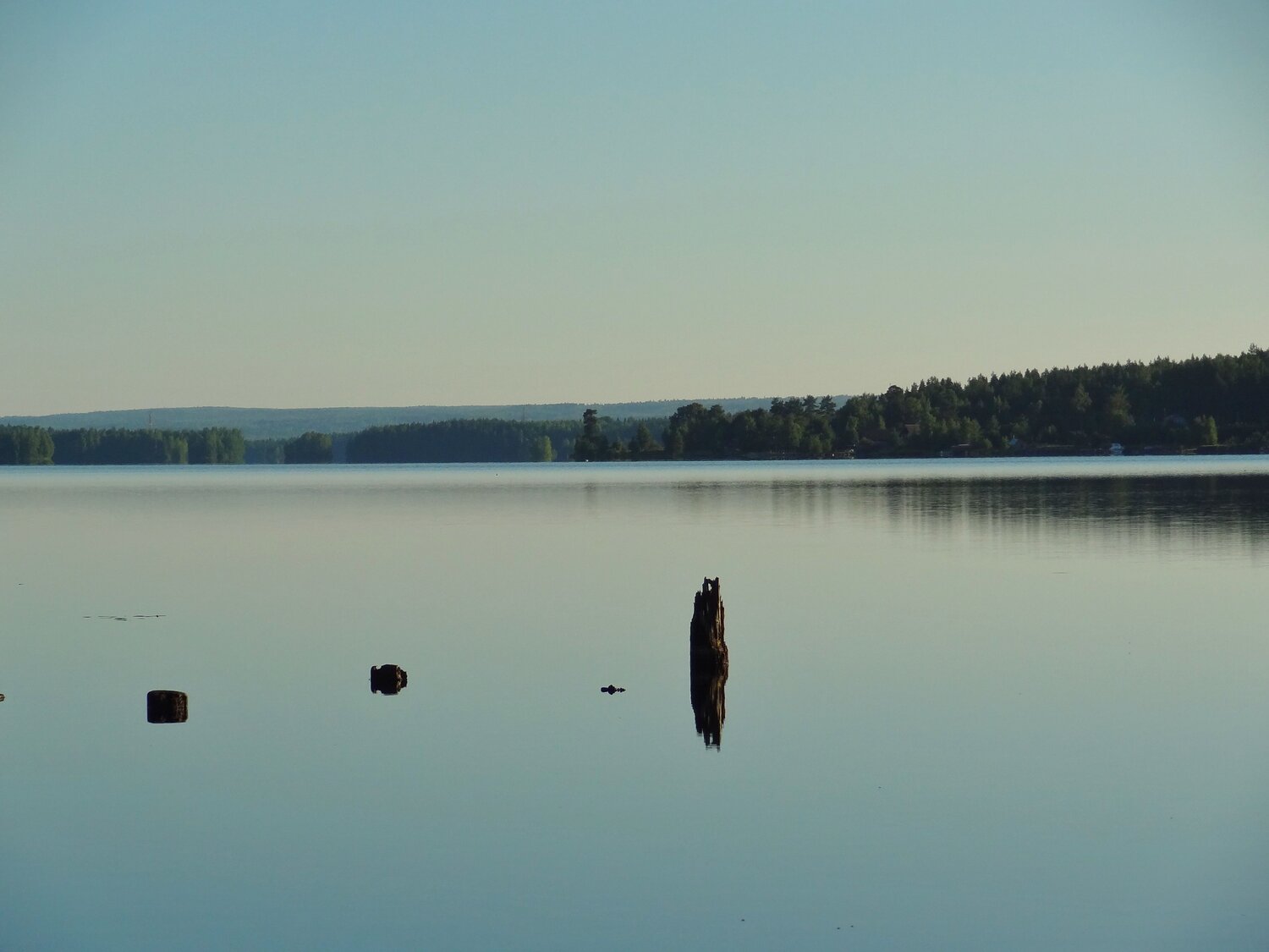 Photo #10856228