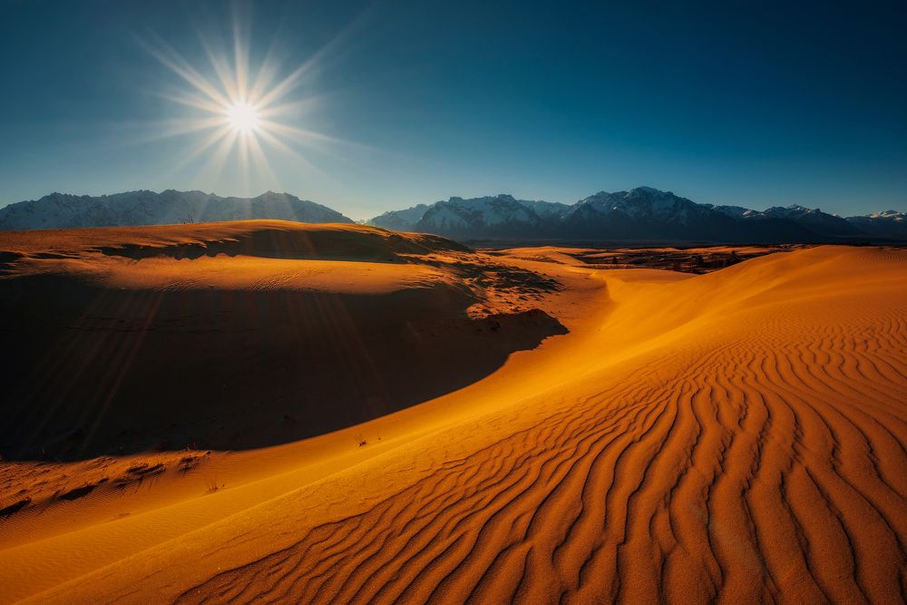 Photograph by Алексей Кретов