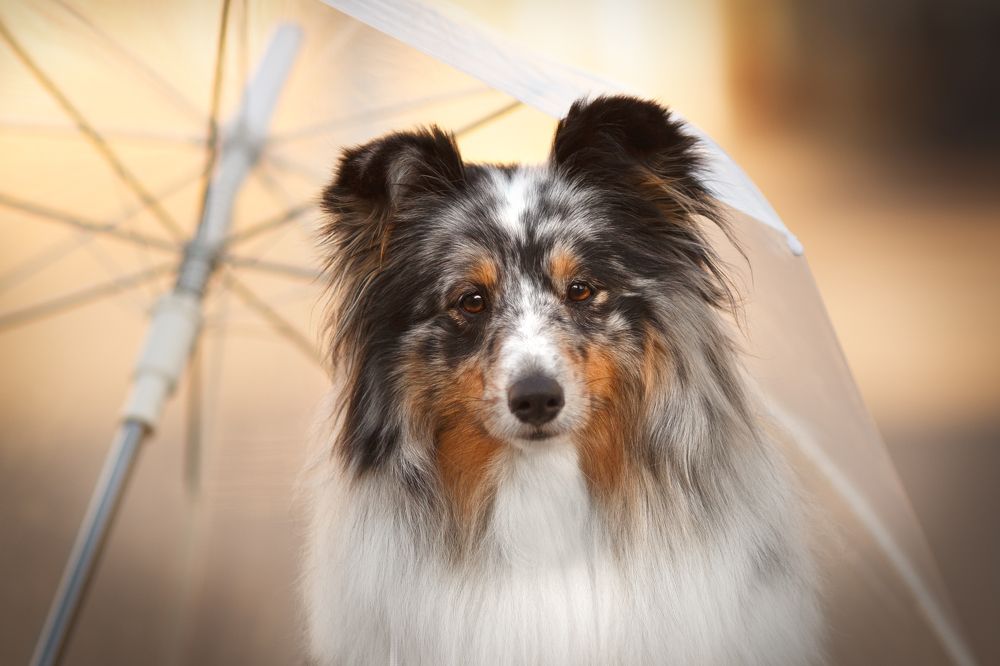 Photograph by Евгения Костусева