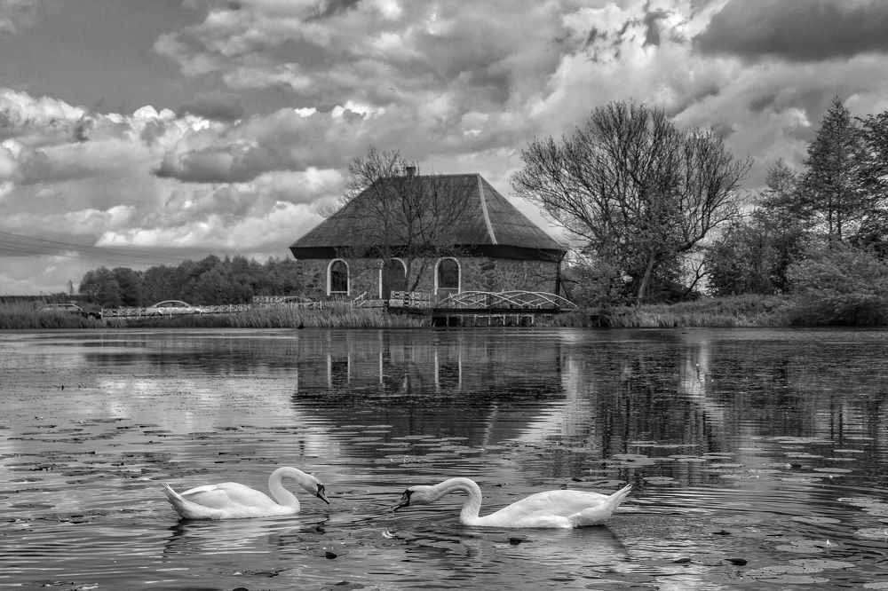 Photograph by Leanid Kulpo