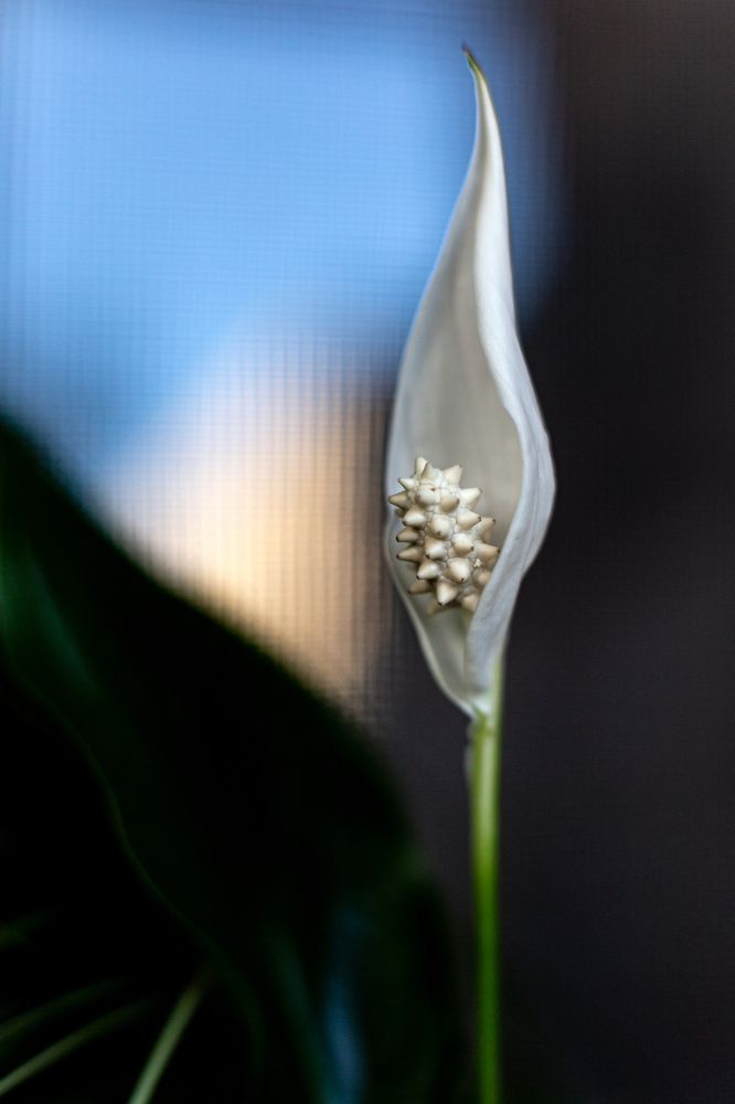 Photograph by Евгений Фонин