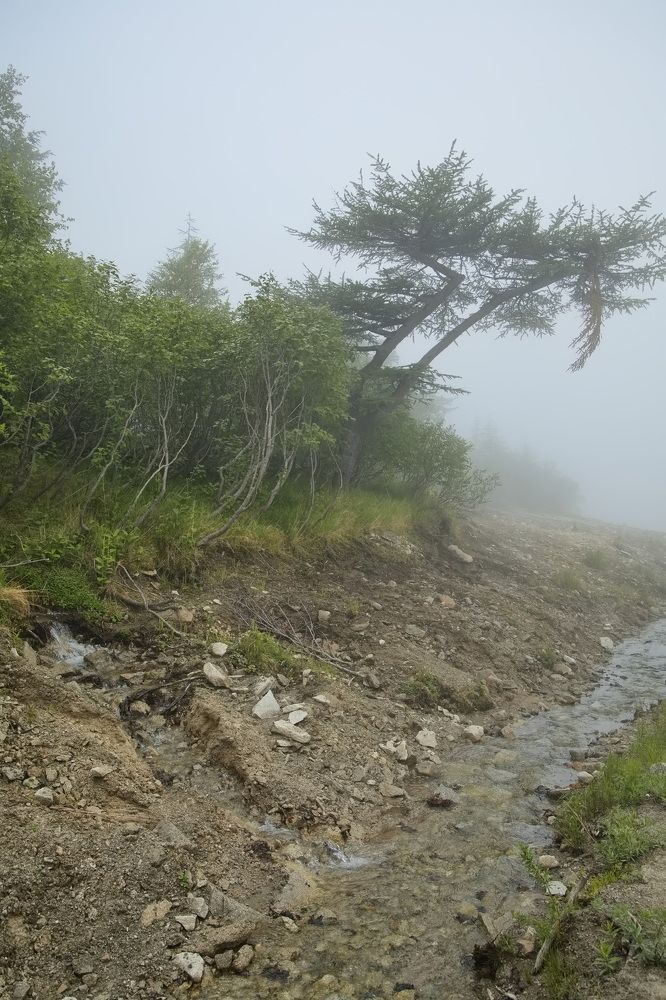 Photograph by Олег Раков